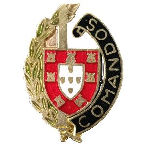 Pin Comandos (5)
