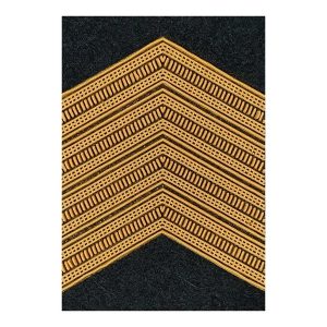 Divisa 1º sargento