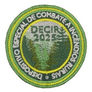 DECIR 2025
