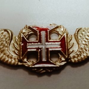 Asa completa de piloto